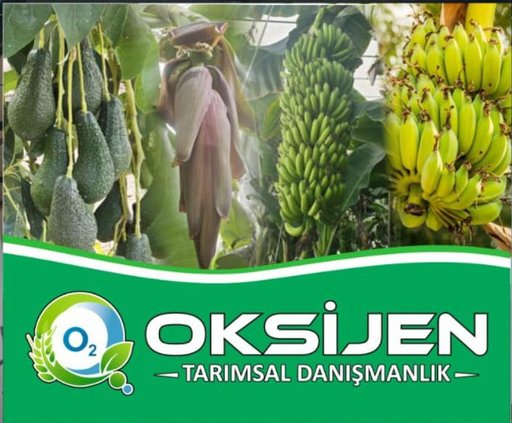 Oksijen Tarımsal Danışmanlık