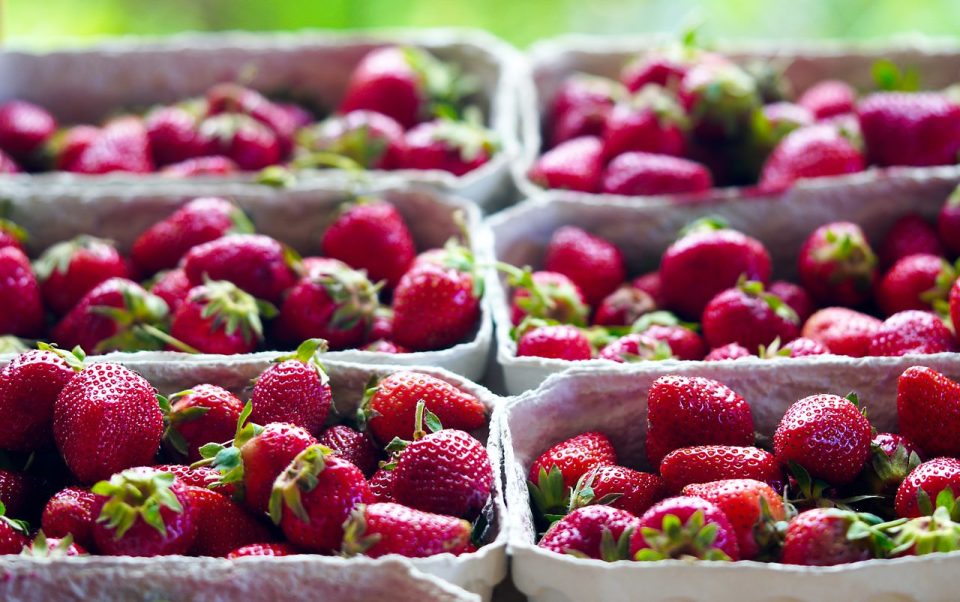 Fresas Frutas Bayas Cosecha Dulce Vitaminas