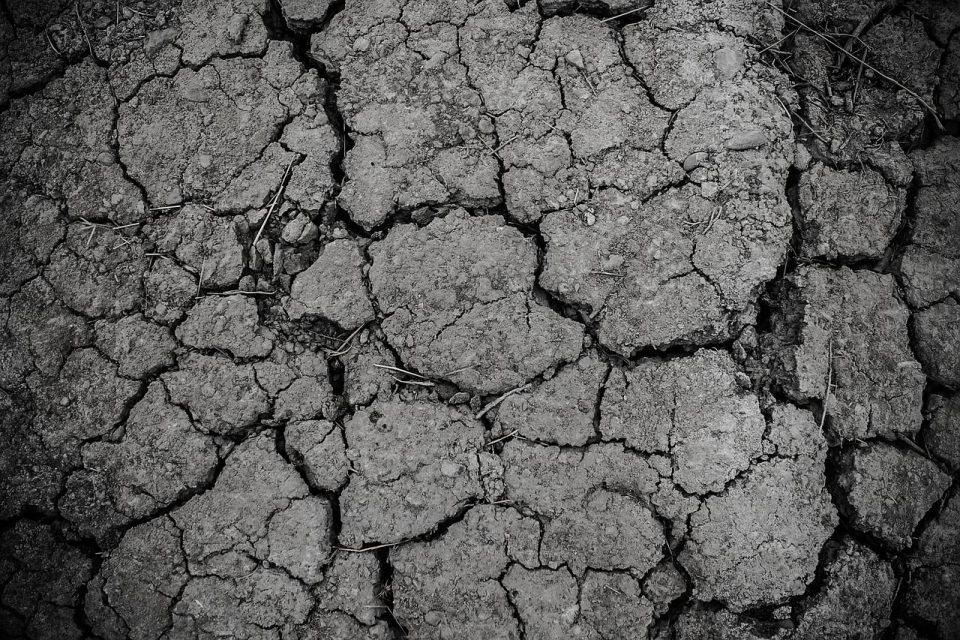 地面 灰色的 污垢 干旱 质地 土地 干燥 土壤 裂缝 开裂 侵蚀 肮脏的 粗糙的