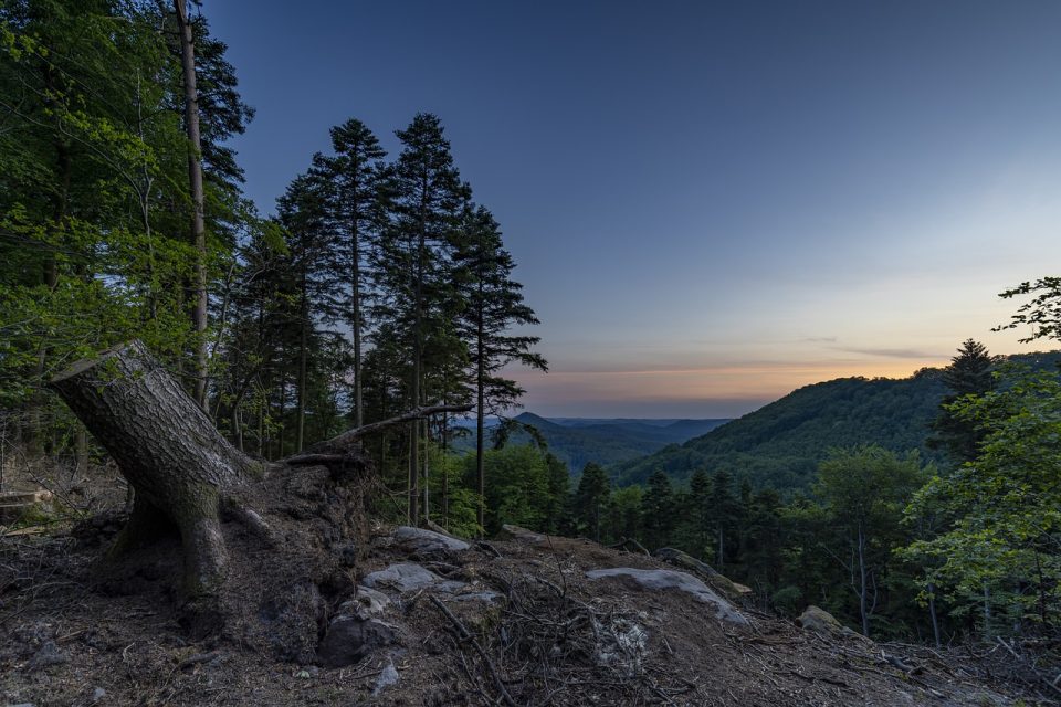 Foresta Tramonto Paesaggio Natura Montagne Alberi