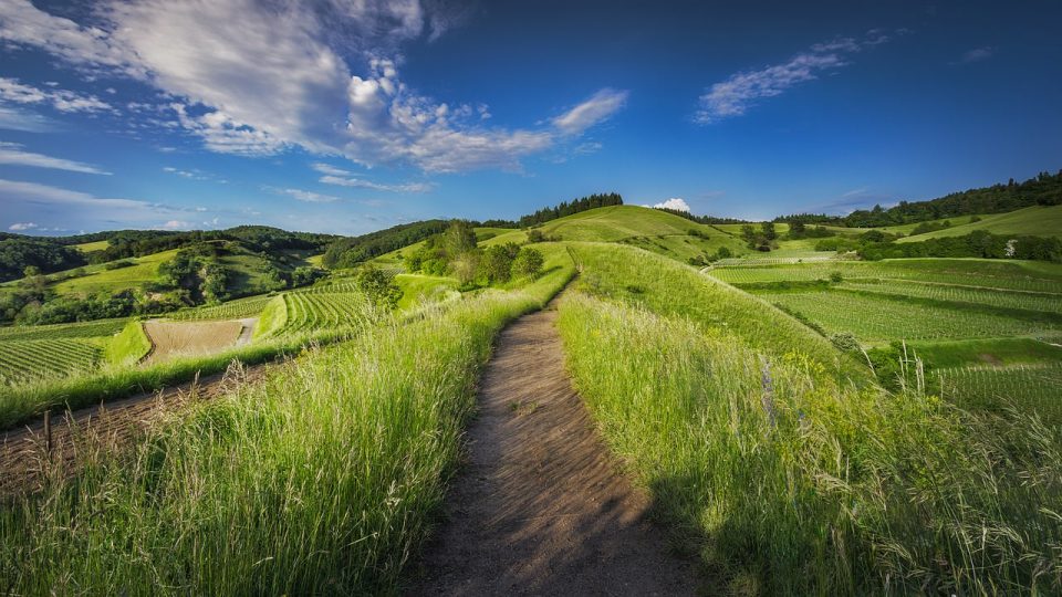 Landschaft, Gras, Bauernhof, Weide, Ackerland