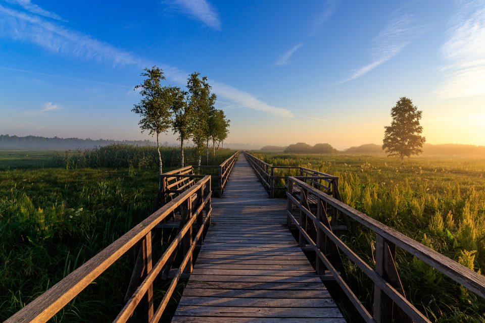 Spring Lake Nature Conservation Pier Nature Mood