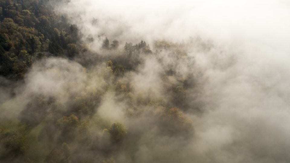 Nebelwolken, Dämmerung, bewölktes Wetter, Herbststimmung, Landschaft, Bäume, Wald, 4k-Tapete, Hintergrund