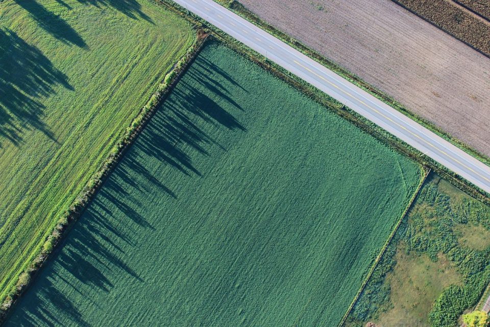 Земјоделство Cropland Воздушен поглед Зелено зеленило