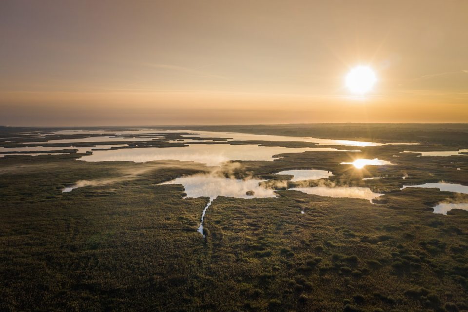 Lago Musgo Relva Pastagem Pôr Do Sol Noite