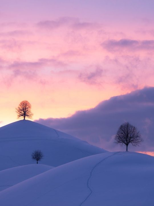 Collines Hiver Le Coucher Du Soleil Neige