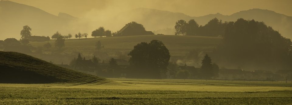 Peisaj Toamna Dimineața Mood Ceață Deal Verde