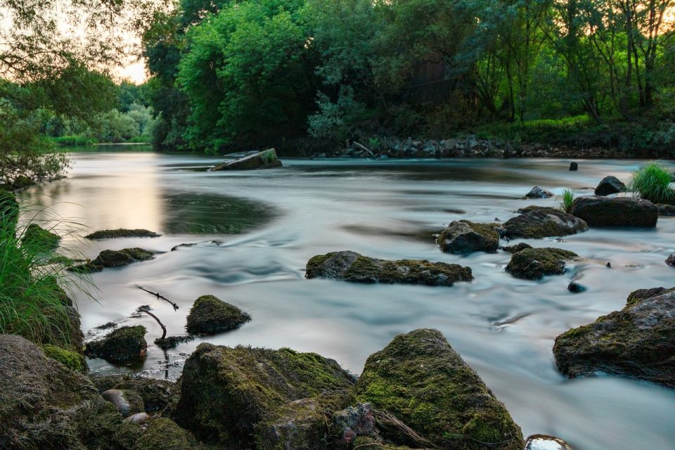 Fiume Tè Miño Foce Del Fiume Galizia Foresta