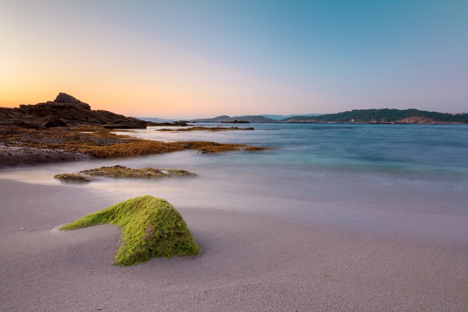 Spiaggia Galizia Ria Aldán Alghe Rocce Mare