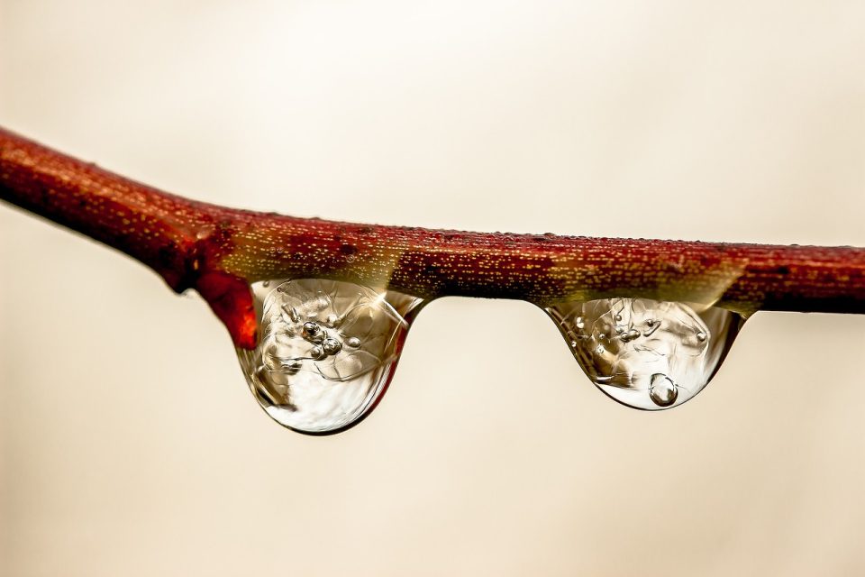雨滴,一滴水,雨,水,水滴,水滴,滴灌,濕法,科,串珠,小球