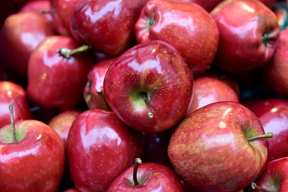 äpfel, reife äpfel, marktverkauf, heller nikolaus, rote äpfel, apfeltheke