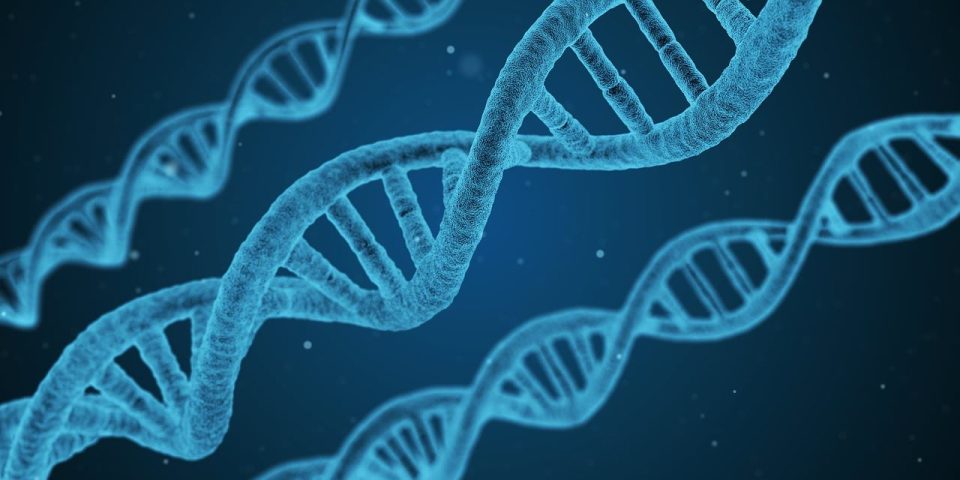 dna, helix, strand, biology, 3d, biotechnology, chemistry, daawo, cilmibaadhis, caafimaad, sayniska