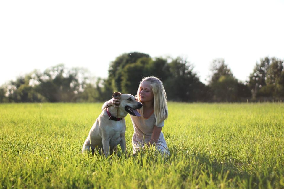 Bambino Cane Natura Figli Animale Domestico Carino