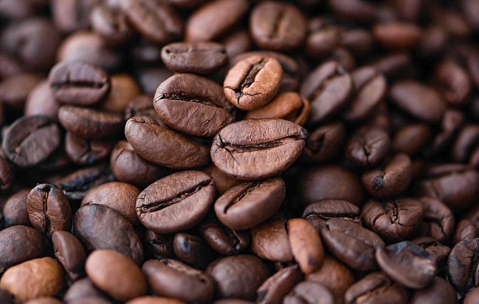Café Frijoles Semilla Cafeína Cafetería Aroma