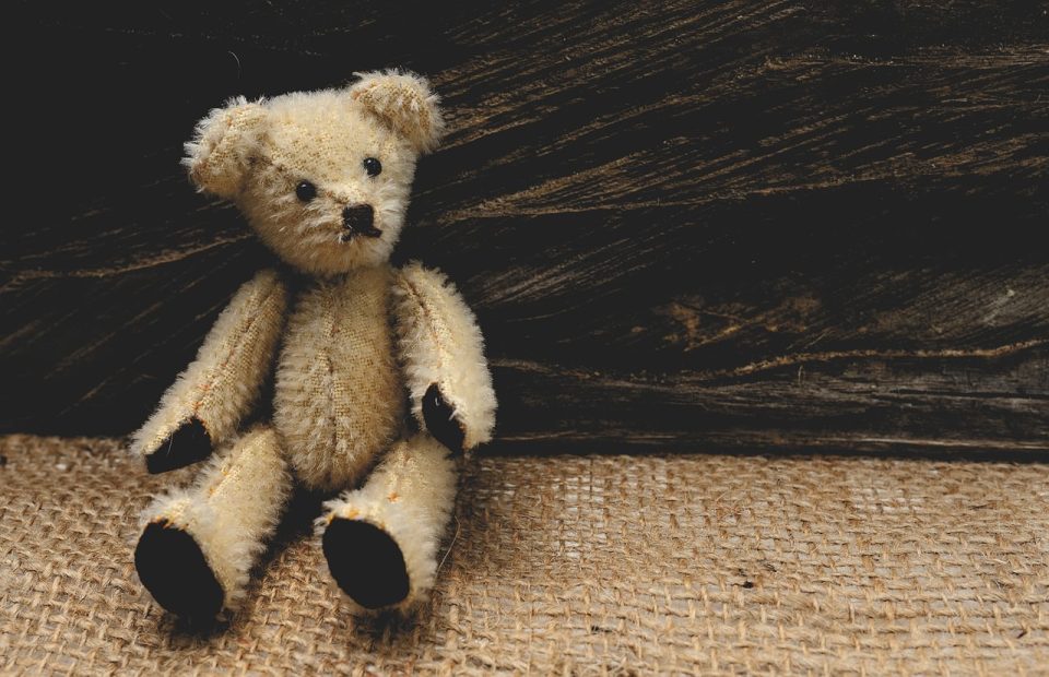 Teddy bear, taonga takaro, kararehe puru