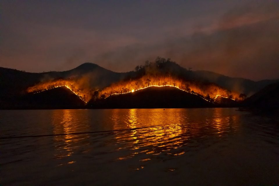 Лесной Пожар Bushfire Пожар Лес
