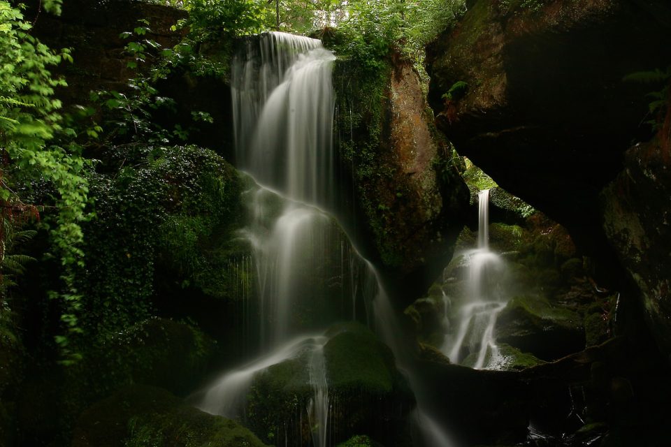 Cascata Torrente Foresta Alberi Rocce Muschio