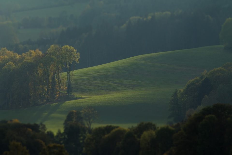 Луг Деревья Пейзаж Природа Деревенский Летом