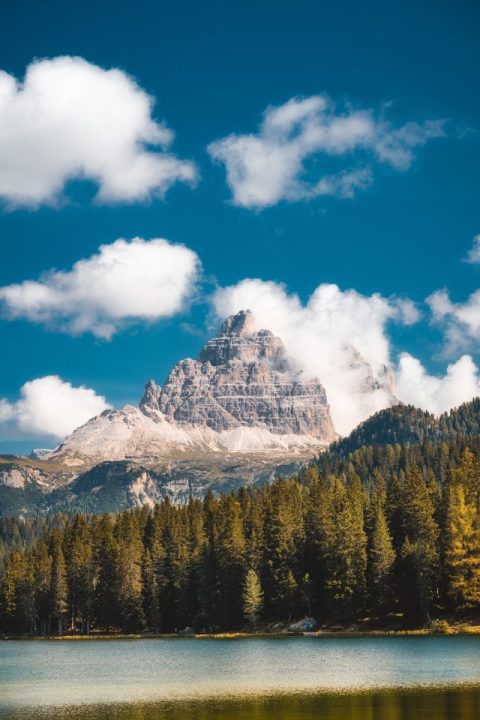 Lac Montagnes Forêt Des Arbres Les Bois