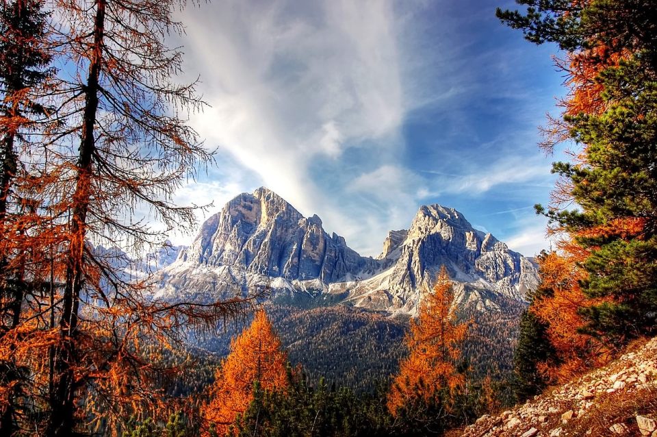 Dolomiten Alpen Alpine Nadelwald Wald Mountain View Peak Summit