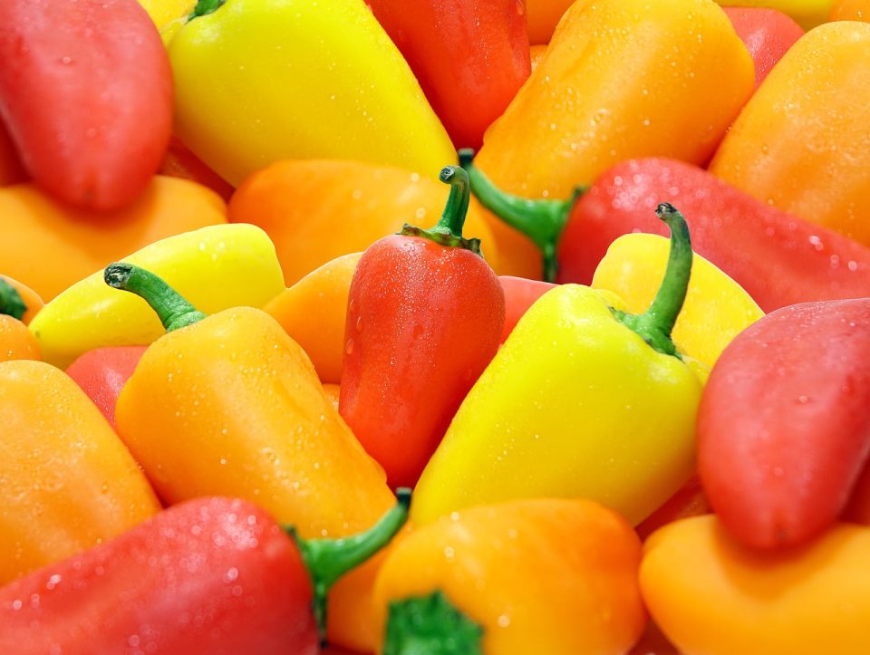 piperrak, barazkiak, elikagaiak, ekologikoak, freskoak, produktuak, osasuntsuak, hezeak, ur tantak