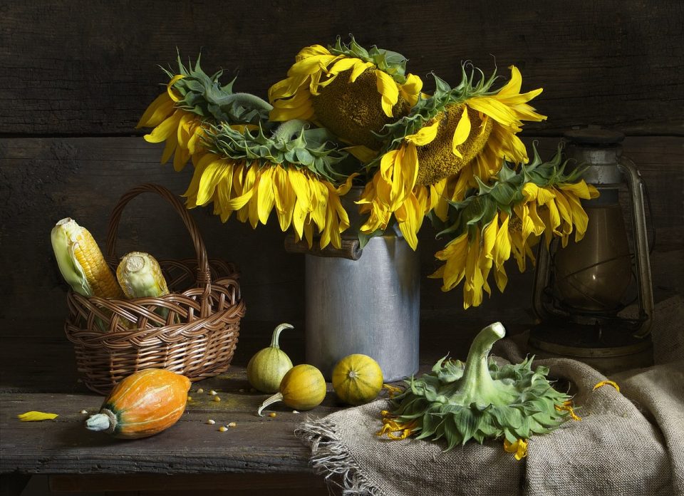 Stillleben, Sonnenblumenstrauß, Vase, Blumenkorb