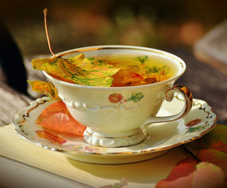 お茶 茶碗 秋 秋の色 紅葉 料理 ビルド 公園 磁器 一冊の本 壊す お茶の時間