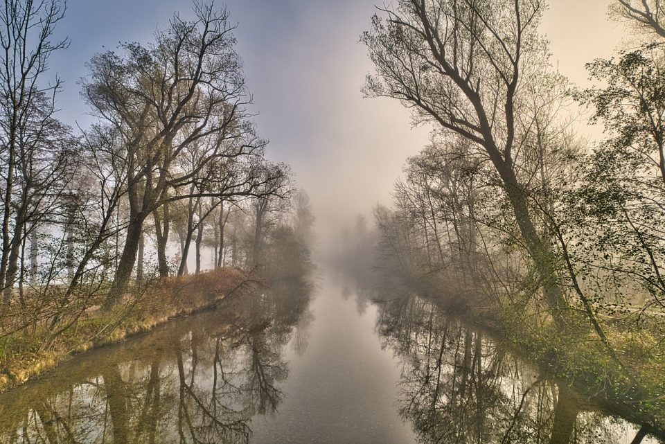 River View, Niwwel, Hierscht, Beem, Hierscht Geescht, Misty Wieder, Natur