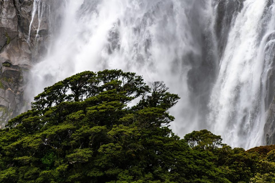 Cascata Albero Acque Scenario Paesaggio Umore