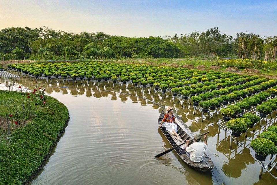 Bauernhof Vietnam Natur Landschaft Asien Garten