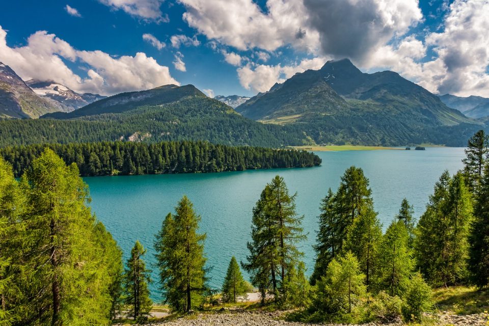 Lago Montanhas Arvores Cordilheira Floresta