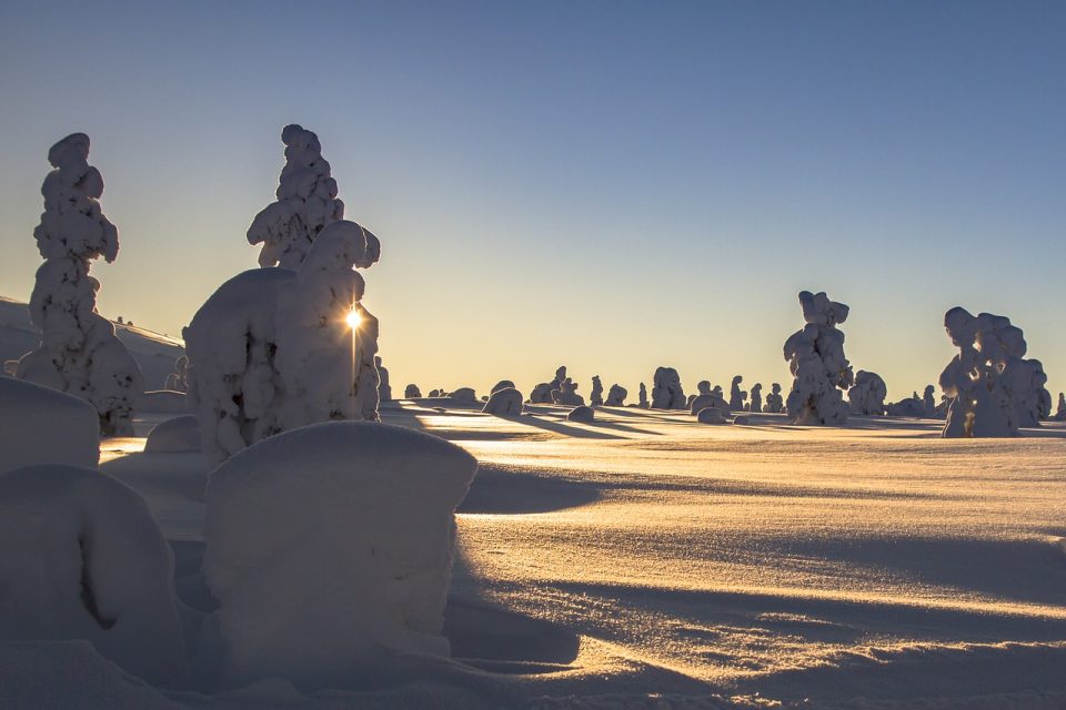 Lappland, Winter, Schneelandschaft, Finnland, Kälte, Schnee, Schneelandschaft, Winterstimmung, schneebedeckte Bäume