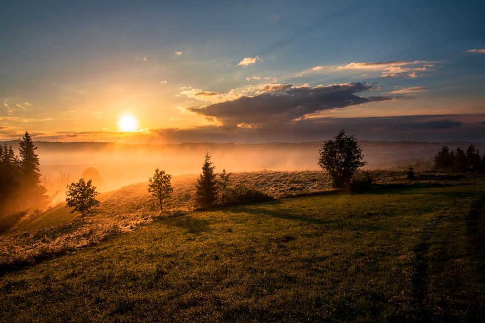 Sonnenuntergangsfotos, Hochland, Bäume, Nebel, Dunst, Nebelhimmel, Wolken, Abendsonne, Dämmerung, Wiese, Grasland