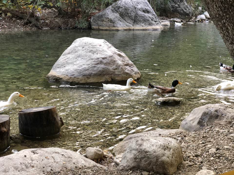 Olimpos Çevresinde Gezilecek Yerler - 0532 253 1324 - Yarıkpınar Meydan Restaurant