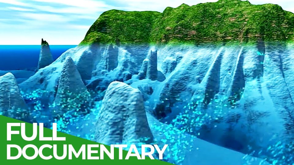 Cocos Island: Mystery of the Pacific Ocean | Free Documentary Nature - Watch Full Documentary